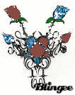 Heartagram Roses