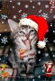 joeu noel !!!oooooooo