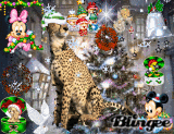 Cheetah enjoyin christmas