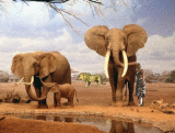 joce en Afrique
