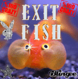 Exit fish