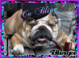 Ca Bling ?