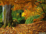 fall