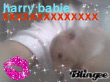 Harry babie
