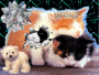 les chats