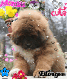 Adorable!!! ^____^