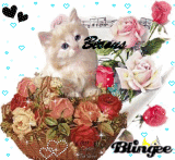 bisous a tous les blingueurs