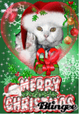 Christmas Fluff