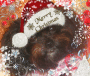 Santa Mollie Santa Mollie