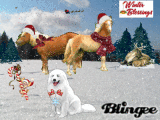winter blessings