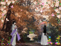 les manga en foret avec des petales de fleurs ki vole