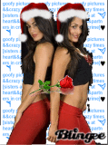 Merry Christmas From Brie N Nikki Bella