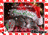 happy holidays