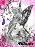 Butterfly 1