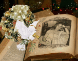 le beau livre