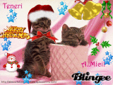 miao miao