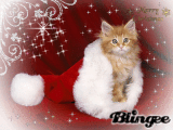 kerst