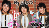 jonas brothers