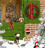 Animal Merry Christmas