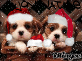 cagnolini buon natale cagnolini buon natale