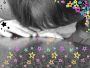 estrellas