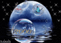 2000 visites