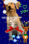Merry bdawg