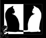 KITTEH_LADAY