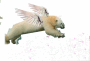 flying polar bear