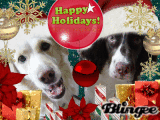 Happy Holidays ! 