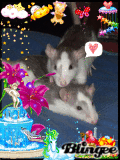 babys