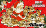 ma participation au ocncours de noel
