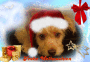 merry x.mas
