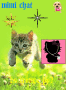 chat