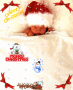 Merry Christmas-Bimbo