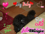 My dog Ody!