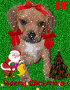 MERRY CHRISTMAS!!!!