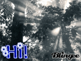 For Tree