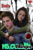 my edward and bella 