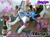 Happy New Year!