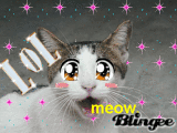 Anime cat =)