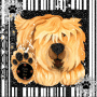 fluffydogs3