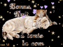 bonne nuit la com bonne nuit la com