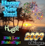 HAPPY NEW YEAR 2009. MALUKUTIGER