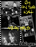 Fly on the Wall
