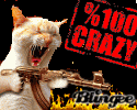 CRAZY CAT