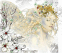 WINTER FAIRY QUEEN WINTER FAIRY QUEEN