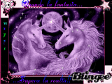 unicorni
