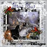 Winter Magic