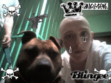 LES DINGUES